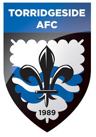 Torridgeside AFC logo.jpg