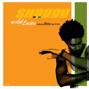 <span class="mw-page-title-main">Wild 2nite</span> 2005 single by Shaggy featuring Olivia