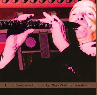 <i>Little Princess</i> (album) 2009 studio album by Tim Sparks