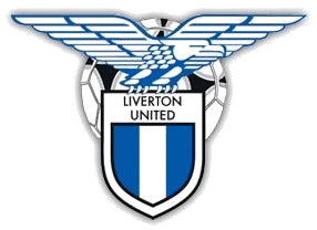 <span class="mw-page-title-main">Liverton United F.C.</span> Association football club in England