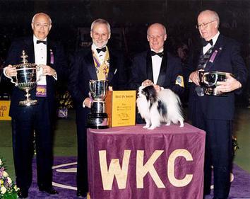 papillon kennel club