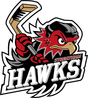 <span class="mw-page-title-main">Streatham Hawks</span> Ice hockey team in London, UK