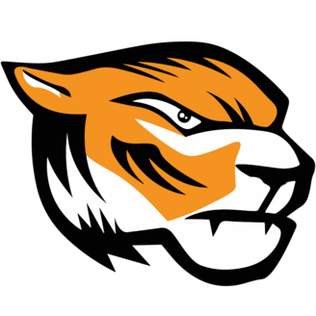 File:Domžale Tigers.png