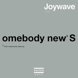 Somebody New (Joywave song) 2014 single by Joywave