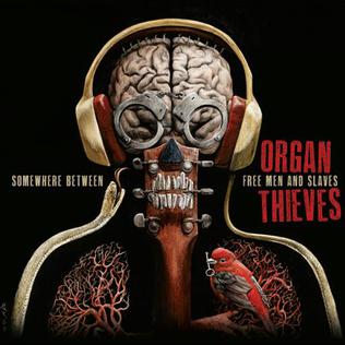 <i>Somewhere Between Free Men and Slaves</i> 2012 studio album by Organ Thieves