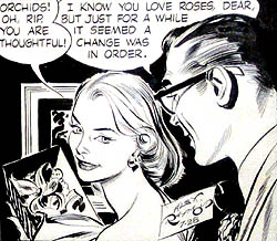 Alex Raymond's Rip Kirby (July 28, 1956), his final strip with Judith Lynne "Honey" Dorian.