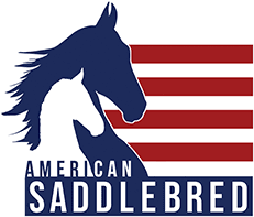 <span class="mw-page-title-main">American Saddlebred Horse and Breeders Association</span> Horse breed registry