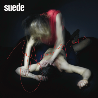 <i>Bloodsports</i> (album) 2013 studio album by Suede