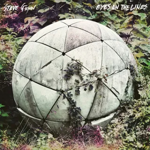 <i>Eyes on the Lines</i> 2016 studio album by Steve Gunn