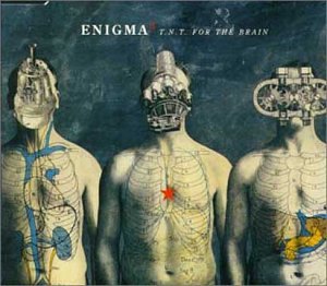 T.N.T. for the Brain 1997 single by Enigma