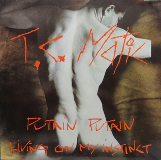 <span class="mw-page-title-main">Putain putain</span> 1983 single by TC Matic