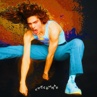 <span class="mw-page-title-main">Checkmate (Conan Gray song)</span> 2019 single by Conan Gray