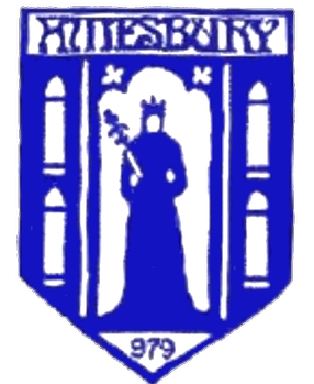 File:Amesbury Town F.C. logo.png