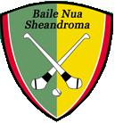 Newtownshandrum GAA gaelic games club in County Cork, Ireland