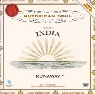 Runaway (Nuyorican Soul song) 1996 single by Nuyorican Soul