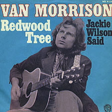 <span class="mw-page-title-main">Redwood Tree (song)</span> 1972 single by Van Morrison