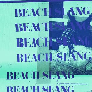 <i>A Loud Bash of Teenage Feelings</i> 2016 studio album by Beach Slang