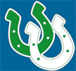 File:ArlingtonHighSchoolTEXASLogo.png