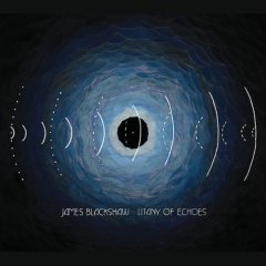 <i>Litany of Echoes</i> 2008 studio album by James Blackshaw