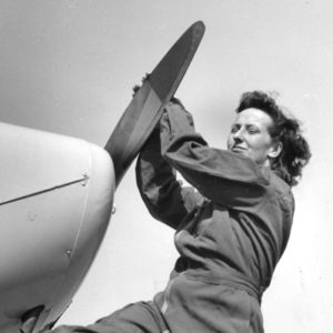 <span class="mw-page-title-main">Mary Ann Lippitt</span> American pilot, aviation business founder and philanthropist