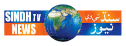 File:Sindh TV News Logo.png