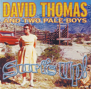 <i>Surfs Up!</i> (album) 2001 studio album by David Thomas and Two Pale Boys