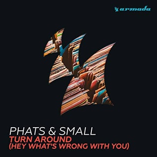 File:Turn Around (Hey What's Wrong With You) Maison and Dragen remix cover.jpeg