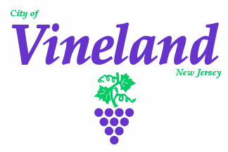 File:Vineland Flag.gif