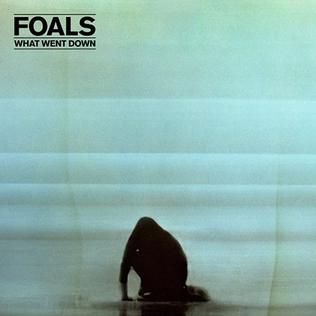 <i>What Went Down</i> 2015 studio album by Foals