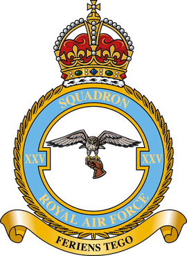 <span class="mw-page-title-main">No. 25 Squadron RAF</span> Flying squadron of the Royal Air Force