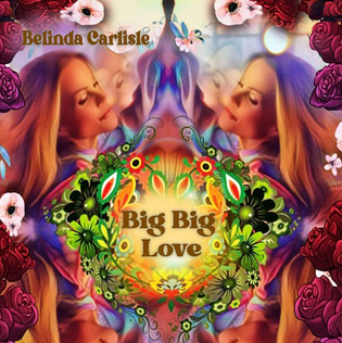 <span class="mw-page-title-main">Big Big Love (Belinda Carlisle song)</span> 2023 single by Belinda Carlisle