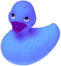 File:Mr rubber ducky.png