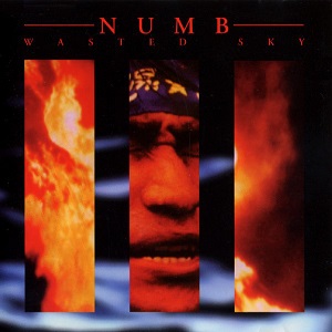 <i>Wasted Sky</i> 1994 studio album by Numb