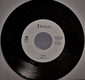 <span class="mw-page-title-main">Sangre (Thalía song)</span> 1992 song by Thalía