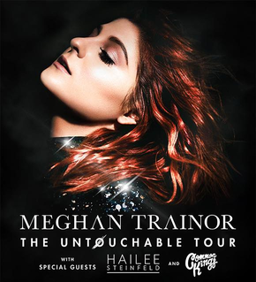 File:The Untouchable Tour Promotional Poster.png