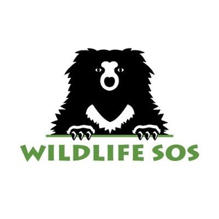 <span class="mw-page-title-main">Wildlife SOS</span> Animal rescue organization in India