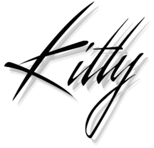 <span class="mw-page-title-main">Kitty Films</span> Japanese animation studio