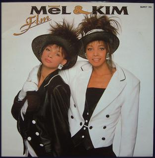 <span class="mw-page-title-main">F.L.M. (song)</span> 1987 single by Mel and Kim