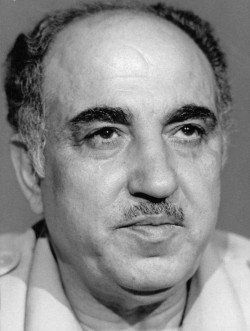 <span class="mw-page-title-main">Salah Khalaf</span> Palestinian Fatah senior official (1933–1991)