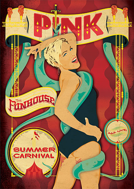 <span class="mw-page-title-main">The Funhouse Summer Carnival Tour</span> 2010 concert tour by Pink