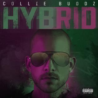 <i>Hybrid</i> (Collie Buddz album) 2019 studio album by Collie Buddz
