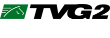 File:TVG2 channel logo.png