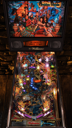 <span class="mw-page-title-main">Visual Pinball</span> Free and source available video game engine