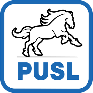 <span class="mw-page-title-main">Social Liberal Humanist Party</span> Romanian political party