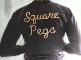 <i>Square Pegs</i> American sitcom 1982–1983