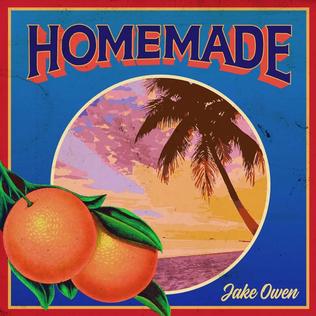 Homemade (song) 2019 single by Jake Owen