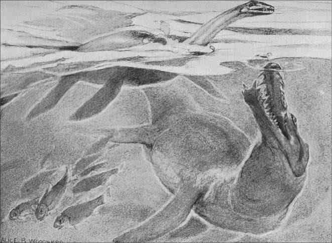 File:Plesiosaurs-mosasaur.jpg