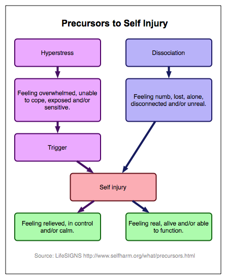 Self-Harm and Feeling Lonely: A Cycle of Self-Injury