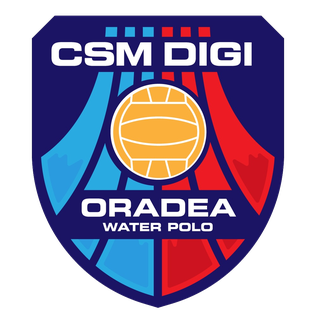 File:CSM Digi Oradea logo.png