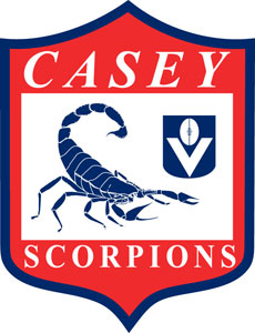 Casey Scorpions logo from 2006 to 2016